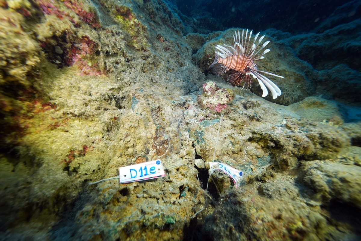  Dünyanın bilinen en eski batığı olarak nitelenen Kumluca Orta Tunç Çağı Batığı'nda arkeologların...