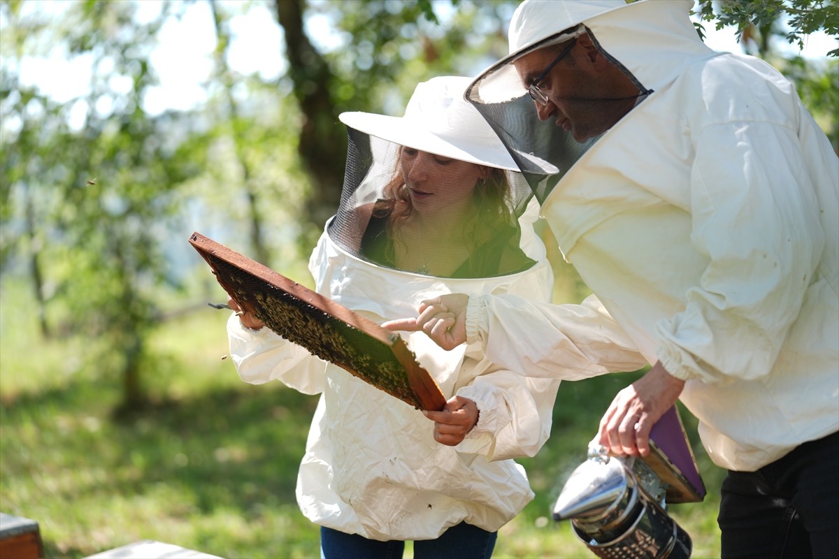 Düzce Üniversitesi Arıcılık Araştırma Geliştirme ve Uygulama Merkezi (DAGEM) Müdürlüğün'den...