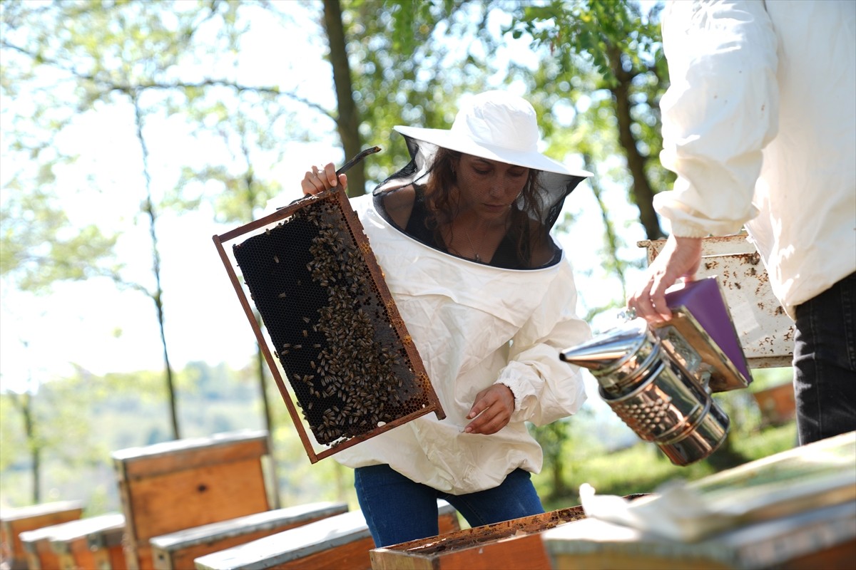 Düzce Üniversitesi Arıcılık Araştırma Geliştirme ve Uygulama Merkezi (DAGEM) Müdürlüğün'den...