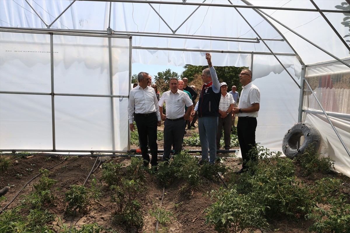 Edirne'de Valilik desteğiyle hayata geçirilen proje kapsamında sera alanının 500 dekara...