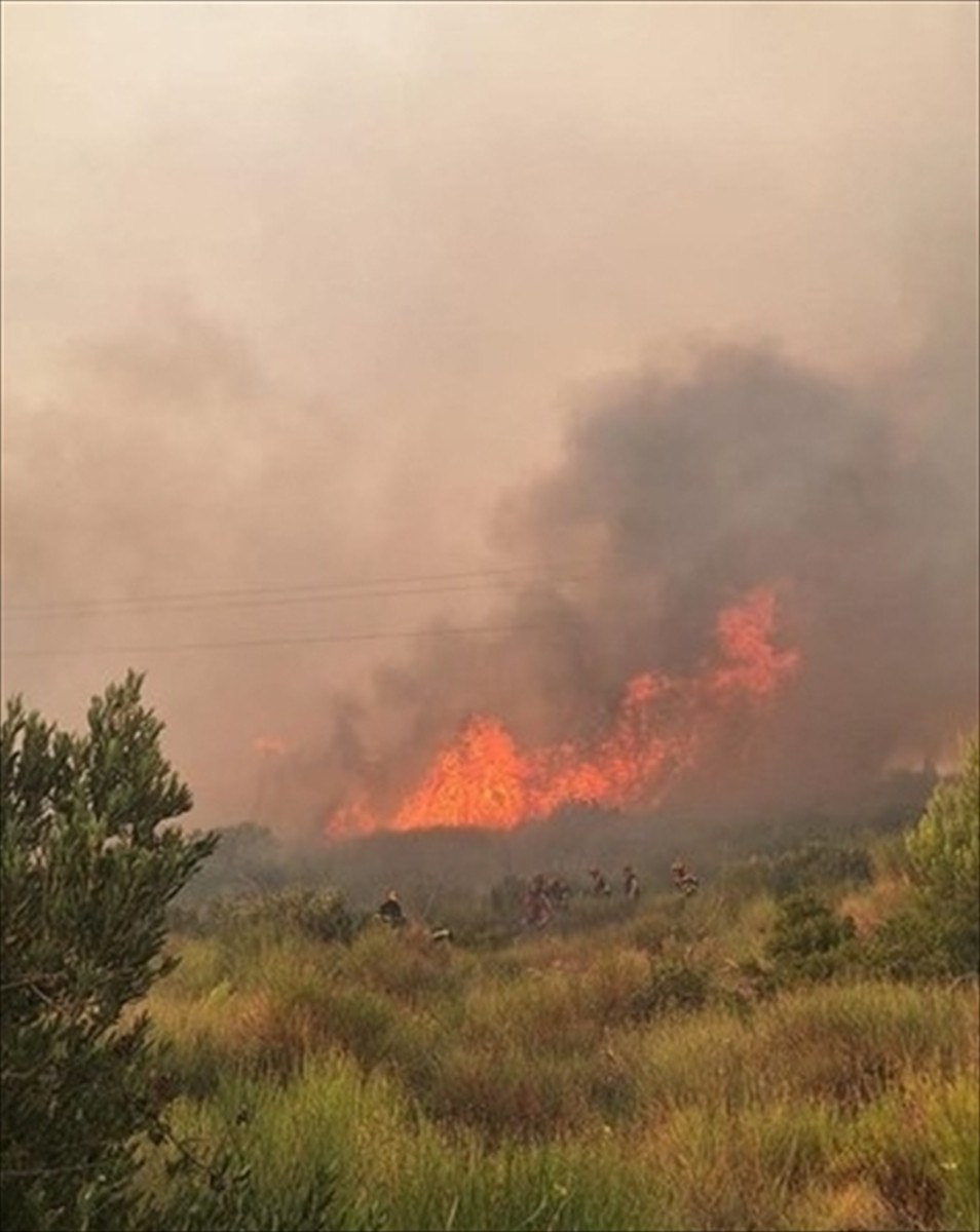 Hırvatistan'ın Dalmaçya kıyılarında bulunan Tucepi ve Trogir bölgelerinde çıkan orman yangınlarını...