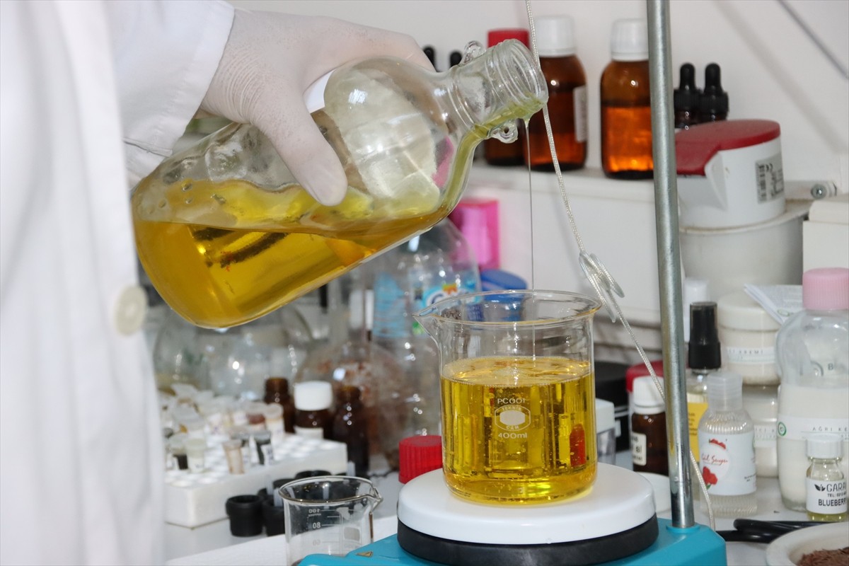 Iğdır Üniversitesi laboratuvarlarında yöreden yetişen tarımsal ve endemik türler ile Ağır Dağı...