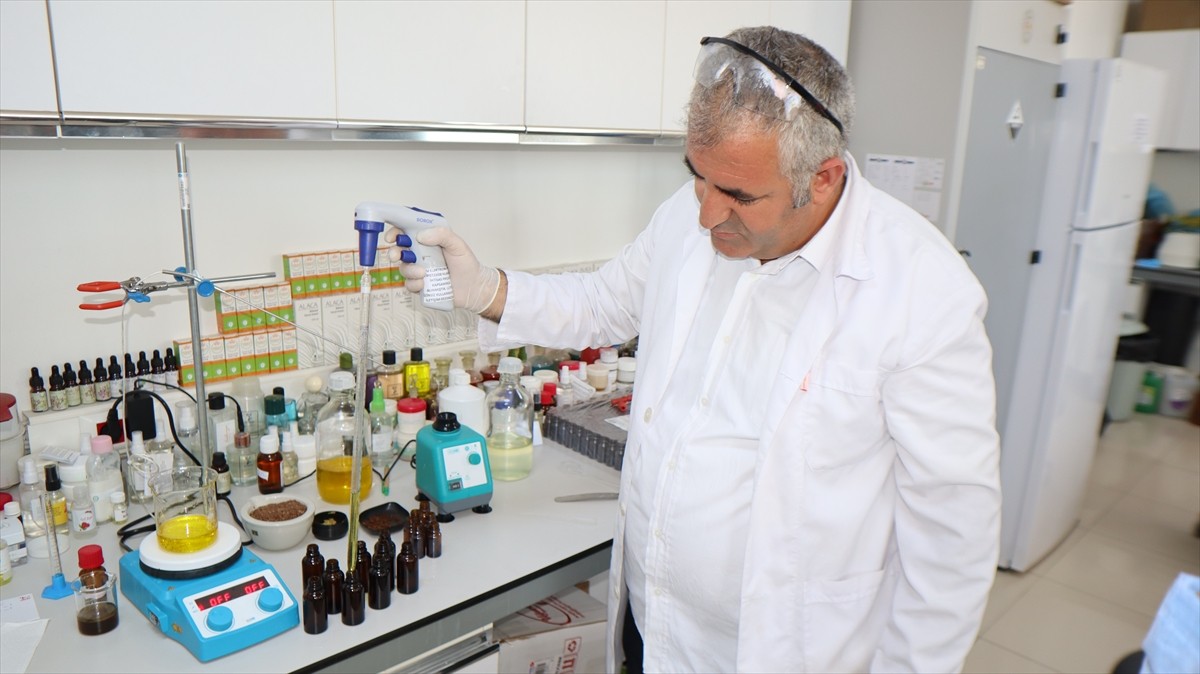 Iğdır Üniversitesi laboratuvarlarında yöreden yetişen tarımsal ve endemik türler ile Ağır Dağı...