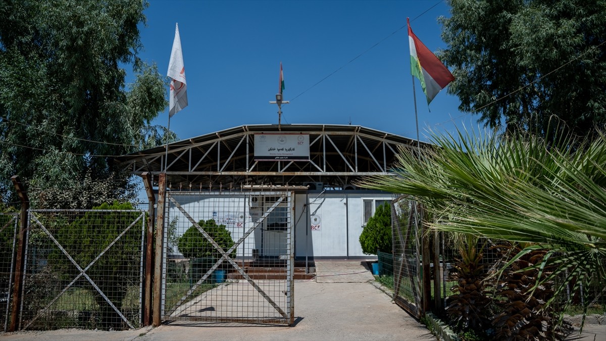 Irak'ın Musul kentine bağlı Sincar ilçesinden 10 yıl önce terör örgütü DEAŞ'ın işgali nedeniyle...