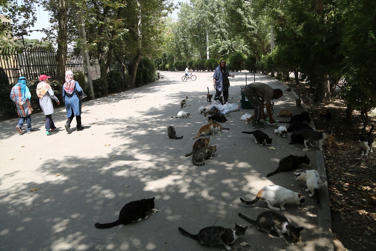 İran’ın başkenti Tahran’ın merkezinde yer alan kentin en eski ve en büyük parklarından Lale Parkı...