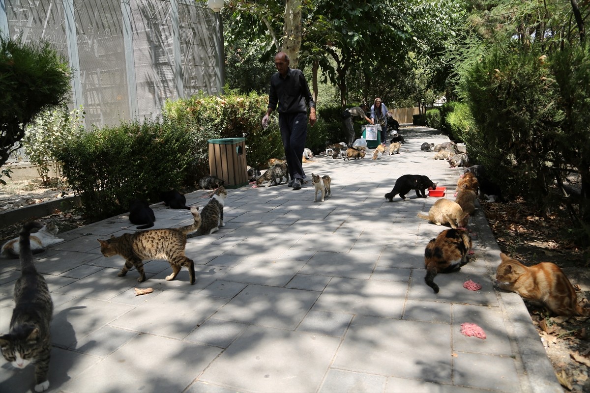 İran’ın başkenti Tahran’ın merkezinde yer alan kentin en eski ve en büyük parklarından Lale Parkı...