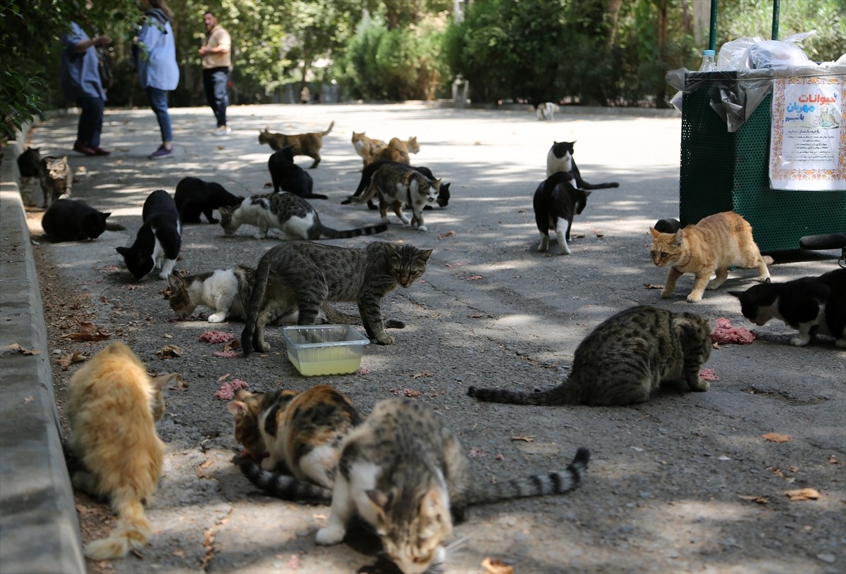İran’ın başkenti Tahran’ın merkezinde yer alan kentin en eski ve en büyük parklarından Lale Parkı...