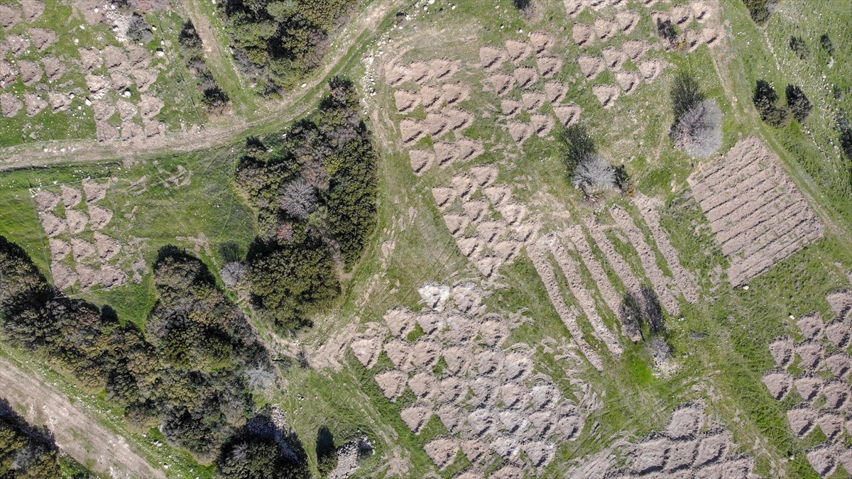 İzmir'de kuraklığın etkilerini azaltmak amacıyla araziye açılan hilal ve baklava şeklindeki...