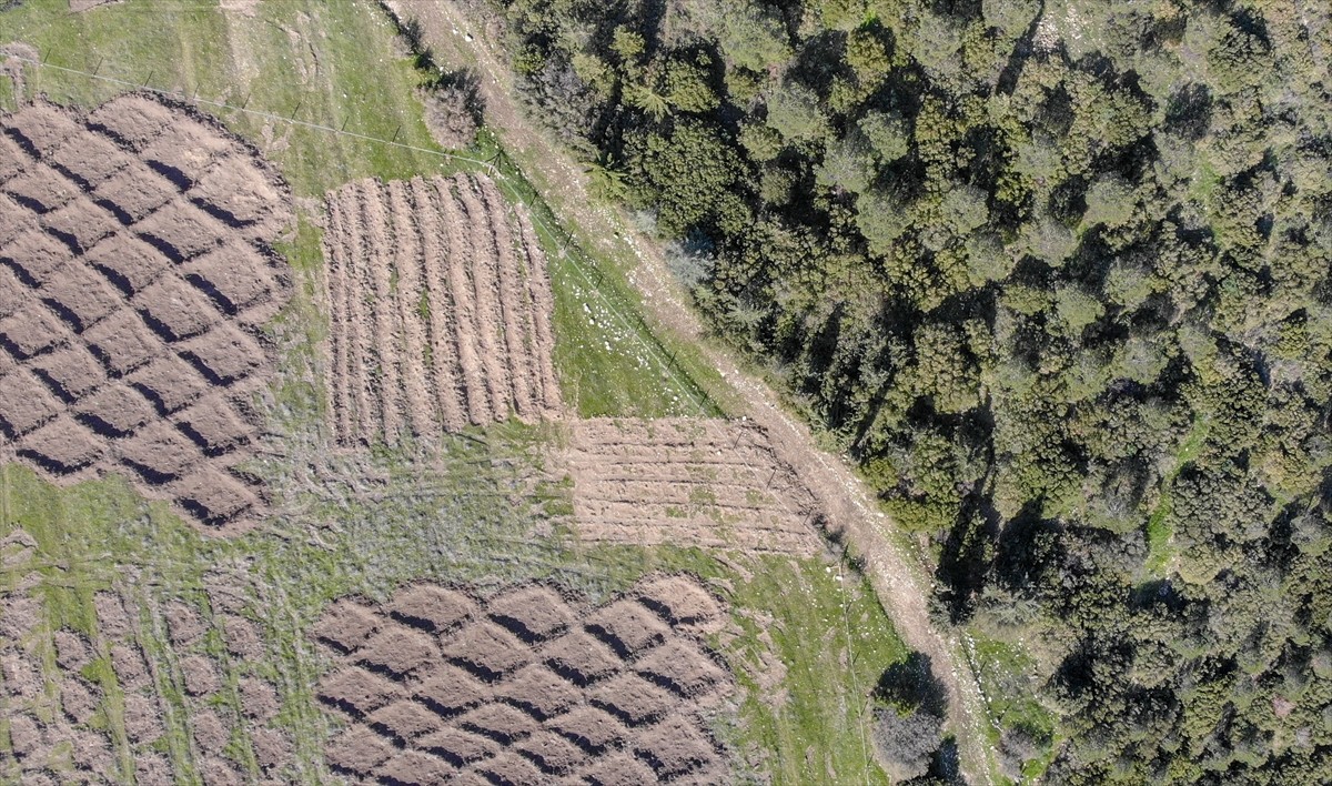 İzmir'de kuraklığın etkilerini azaltmak amacıyla araziye açılan hilal ve baklava şeklindeki...