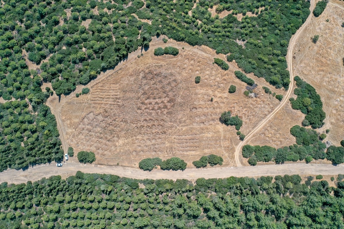 İzmir'de kuraklığın etkilerini azaltmak amacıyla araziye açılan hilal ve baklava şeklindeki...