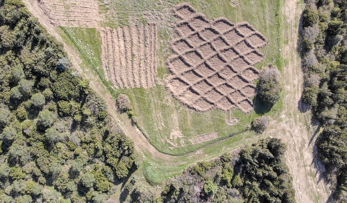 İzmir'de kuraklığın etkilerini azaltmak amacıyla araziye açılan hilal ve baklava şeklindeki...