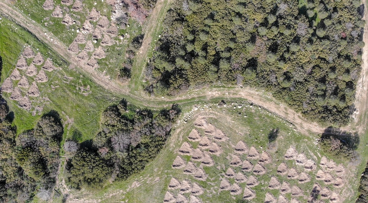 İzmir'de kuraklığın etkilerini azaltmak amacıyla araziye açılan hilal ve baklava şeklindeki...
