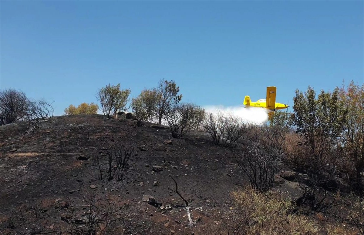 İzmir'in Selçuk ilçesinde Efes Antik Kenti girişi yakınlarındaki otluk alanda çıkan yangın...