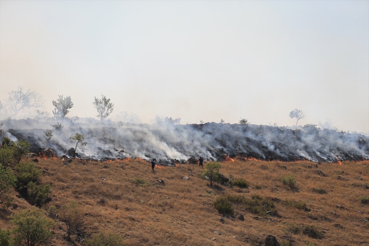 Kayseri'nin merkez Melikgazi ilçesinde Hasan Dağı eteklerinde bulunan otluk alanda çıkan yangına...