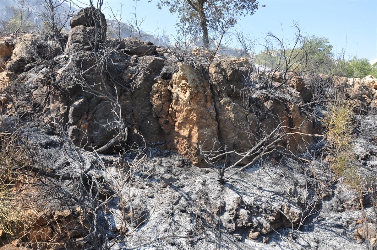 Mersin'in Silifke ilçesindeki ormanlık alanda çıkan yangın, ekiplerin müdahalesiyle kontrol altına...