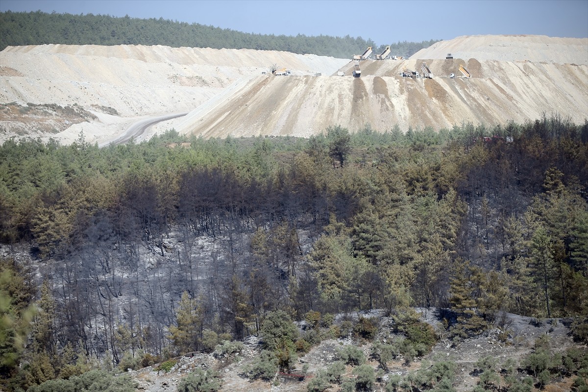 Muğla'nın Milas ilçesinde çıkan orman yangını kara ve hava ekiplerinin müdahalesiyle kontrol...