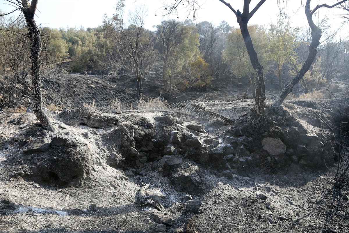 Muğla'nın Milas ilçesinde çıkan orman yangını kara ve hava ekiplerinin müdahalesiyle kontrol...