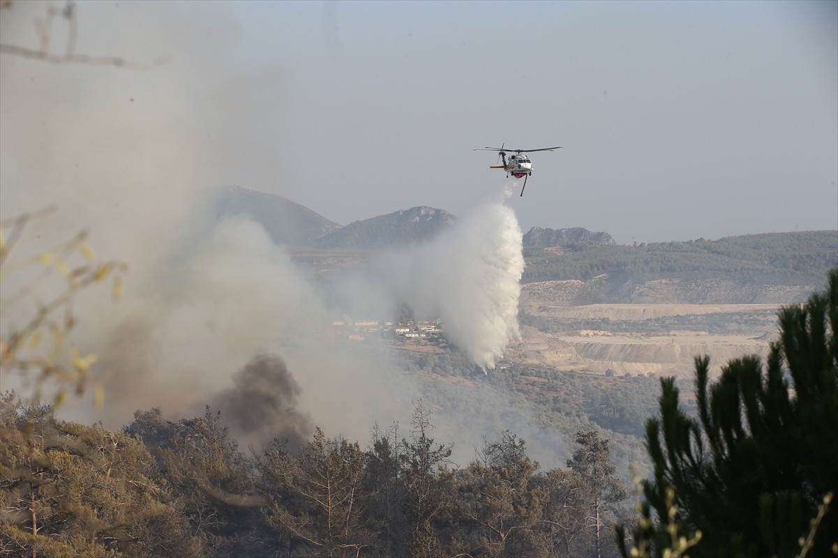 Muğla'nın Milas ilçesinde çıkan orman yangınına havadan ve karadan müdahale ediliyor.  