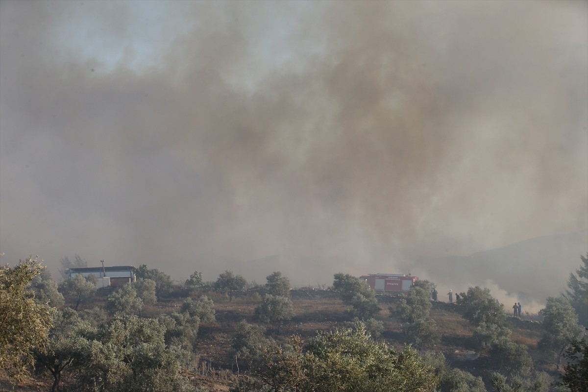 Muğla'nın Milas ilçesinde çıkan orman yangınına havadan ve karadan müdahale ediliyor.  