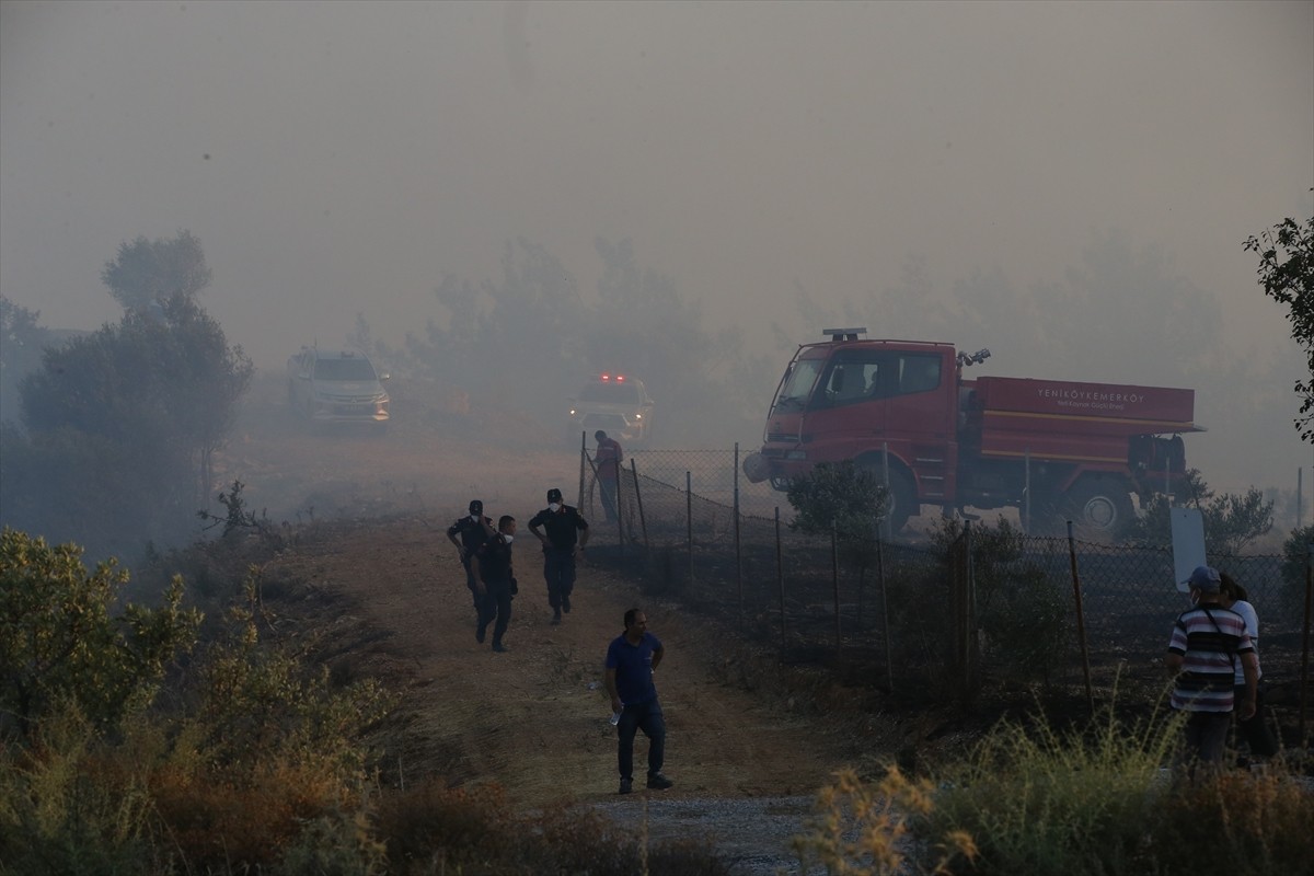 Muğla'nın Milas ilçesinde çıkan orman yangınına havadan ve karadan müdahale ediliyor.  