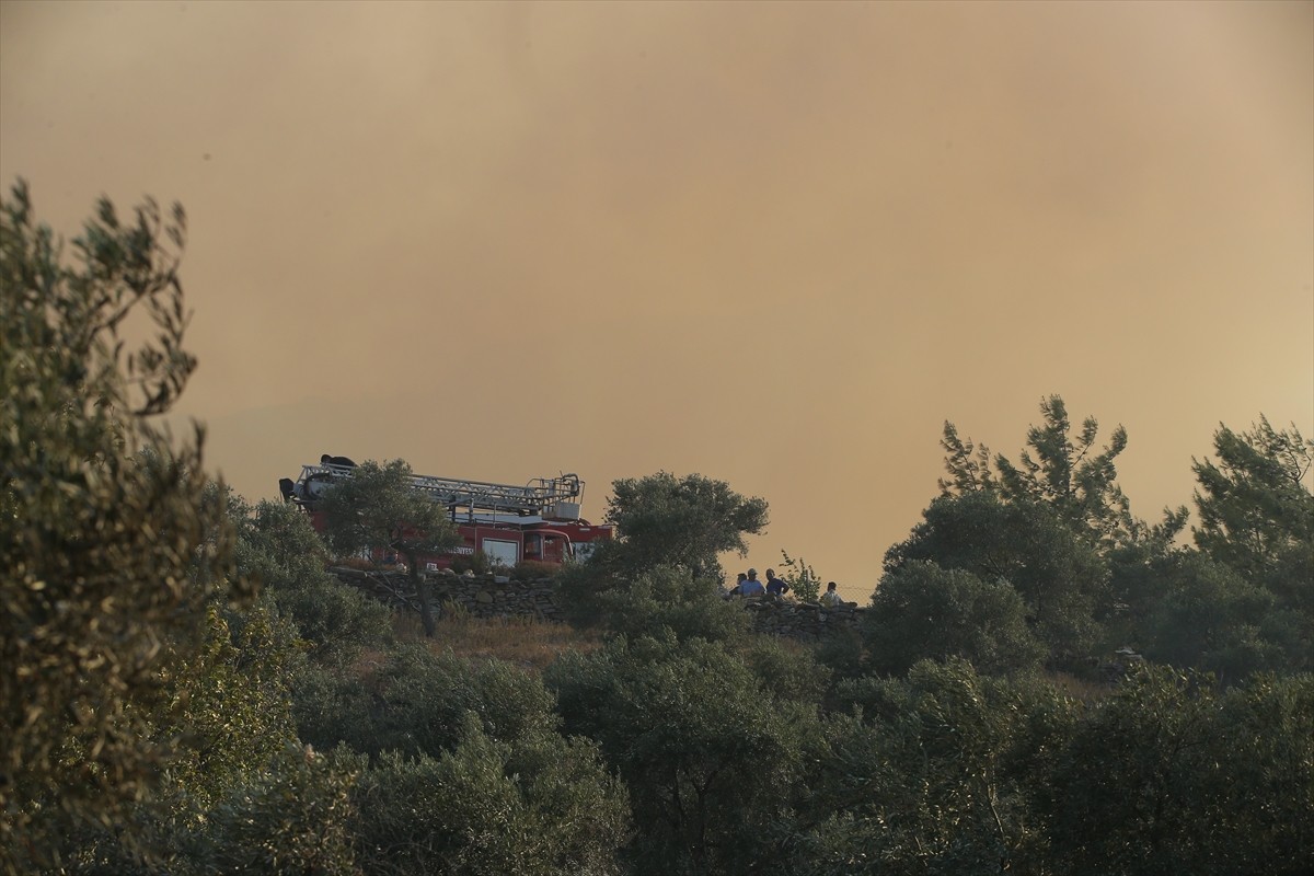 Muğla'nın Milas ilçesinde çıkan orman yangınına havadan ve karadan müdahale ediliyor.  
