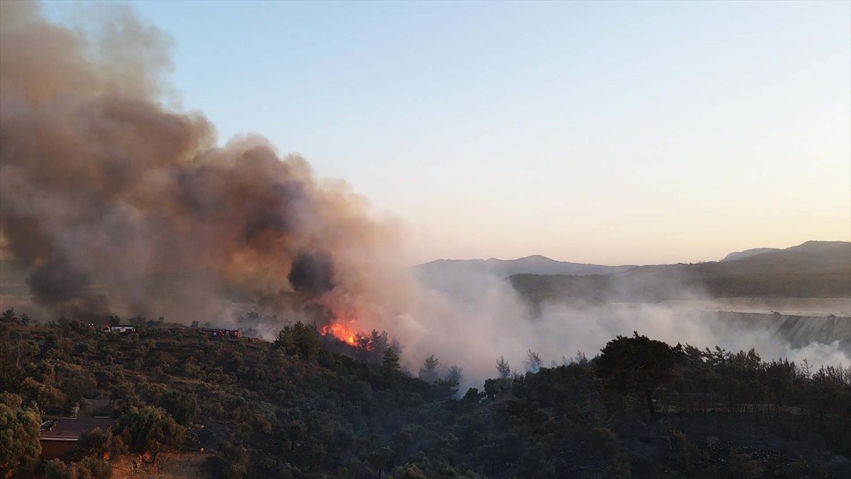 Muğla'nın Milas ilçesinde çıkan orman yangınına havadan ve karadan müdahale ediliyor.