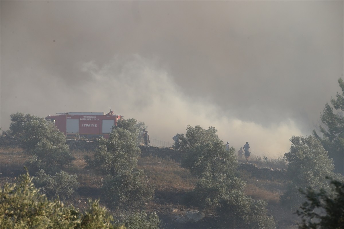 Muğla'nın Milas ilçesinde çıkan orman yangınına havadan ve karadan müdahale ediliyor.  