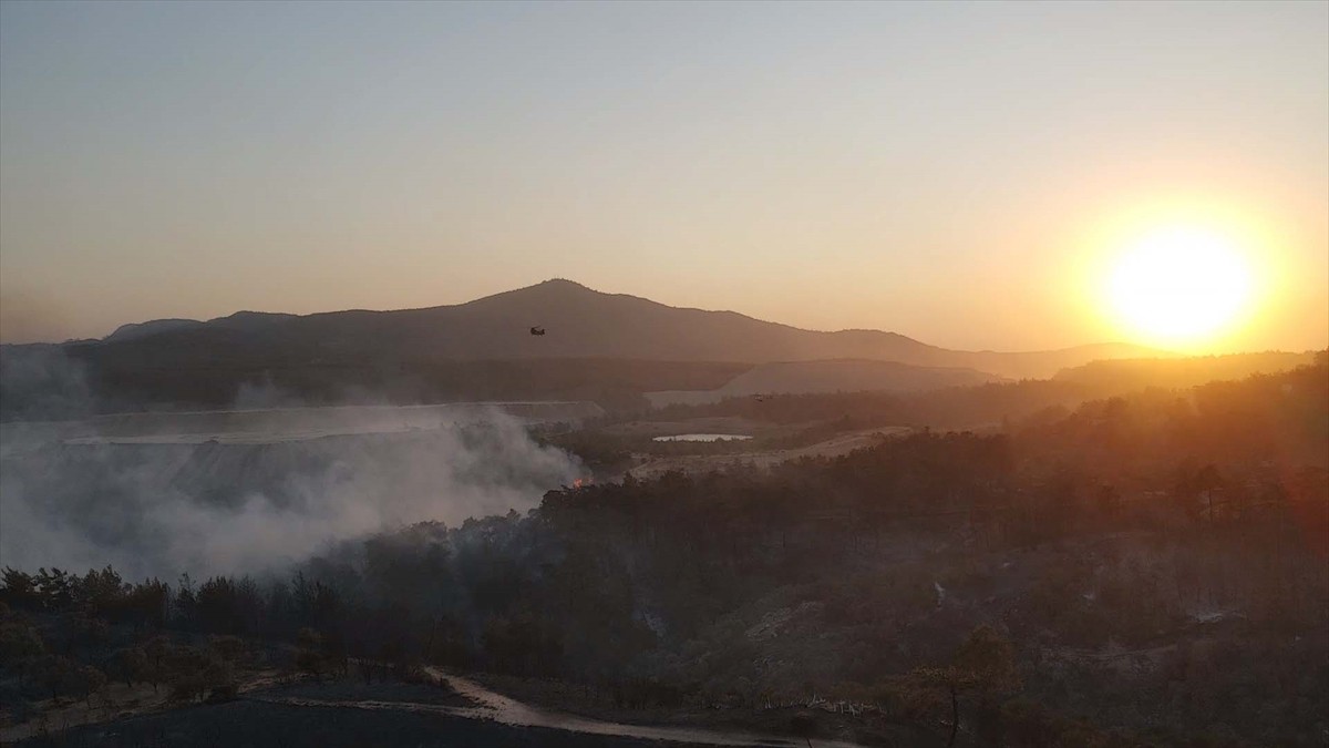 Muğla'nın Milas ilçesinde çıkan orman yangınına havadan ve karadan müdahale ediliyor.