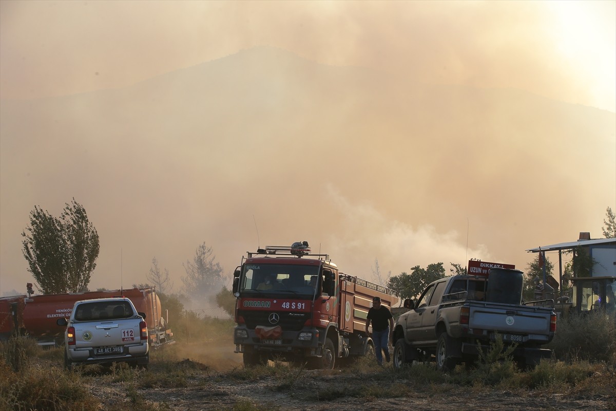 Muğla'nın Milas ilçesinde çıkan orman yangınına havadan ve karadan müdahale ediliyor.  