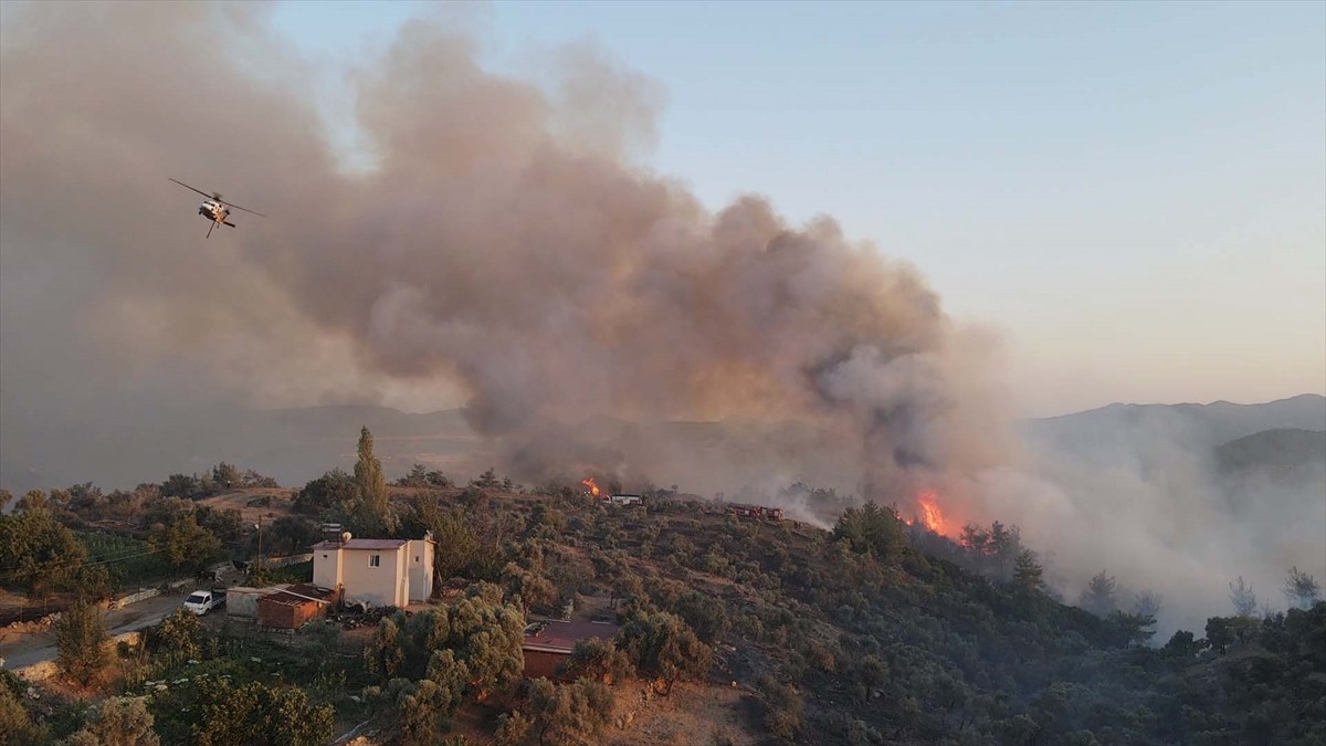 Muğla'nın Milas ilçesinde çıkan orman yangınına havadan ve karadan müdahale ediliyor.