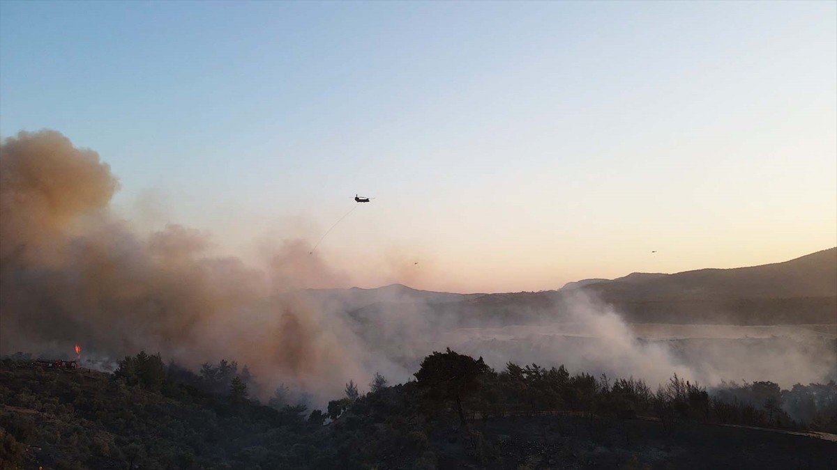 Muğla'nın Milas ilçesinde çıkan orman yangınına havadan ve karadan müdahale ediliyor.