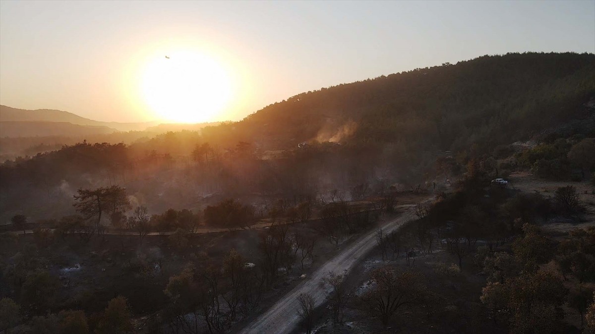 Muğla'nın Milas ilçesinde çıkan orman yangınına havadan ve karadan müdahale ediliyor.