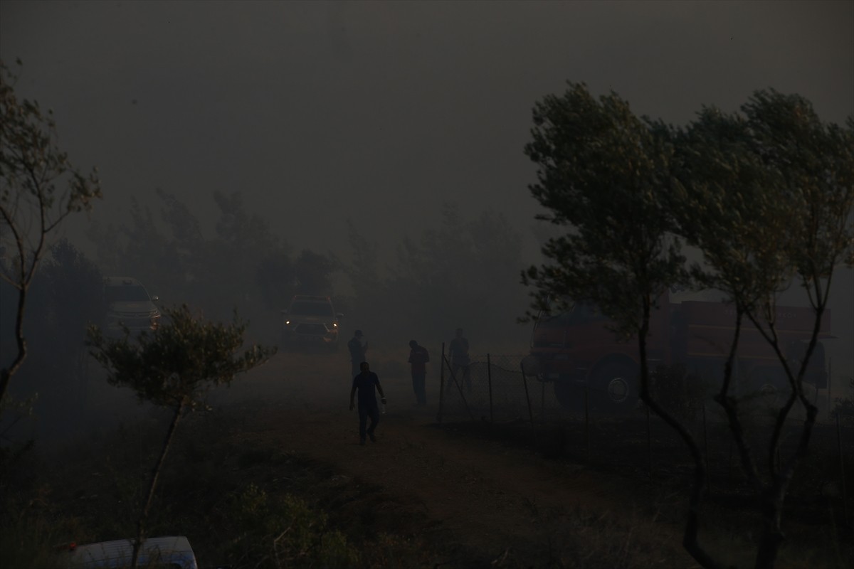 Muğla'nın Milas ilçesinde çıkan orman yangınına havadan ve karadan müdahale ediliyor.  