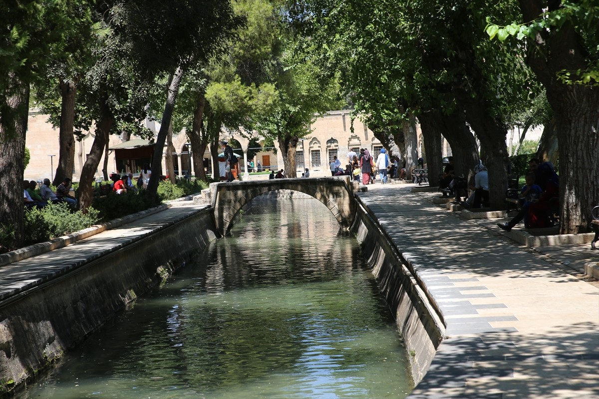 Şanlıurfa'da sıcak hava etkisini sürdürdü. Kentte vatandaşlar, parklarda ve tarihi Balıklıgöl...