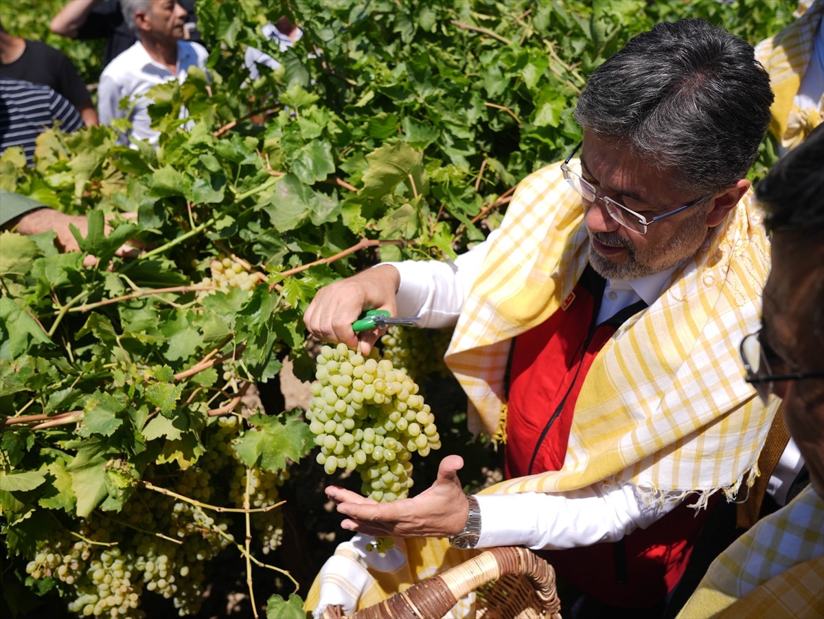 Tarım ve Orman Bakanı İbrahim Yumaklı, Manisa'nın Saruhanlı ilçesine bağlı Hacırahmanlı...