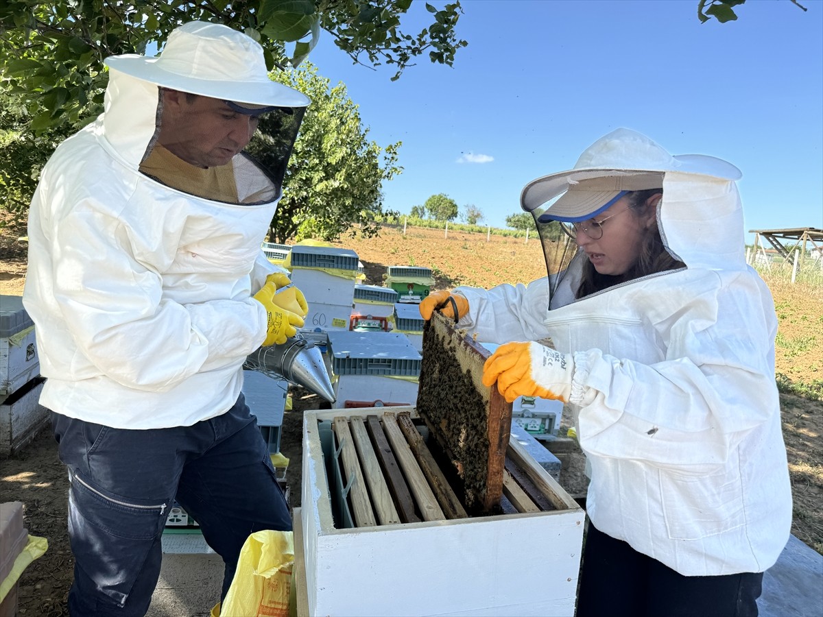 Tekirdağ’da devletten aldığı destekle arıcılığa başlayan Havva Tekin (solda), 2 yılda kovan...