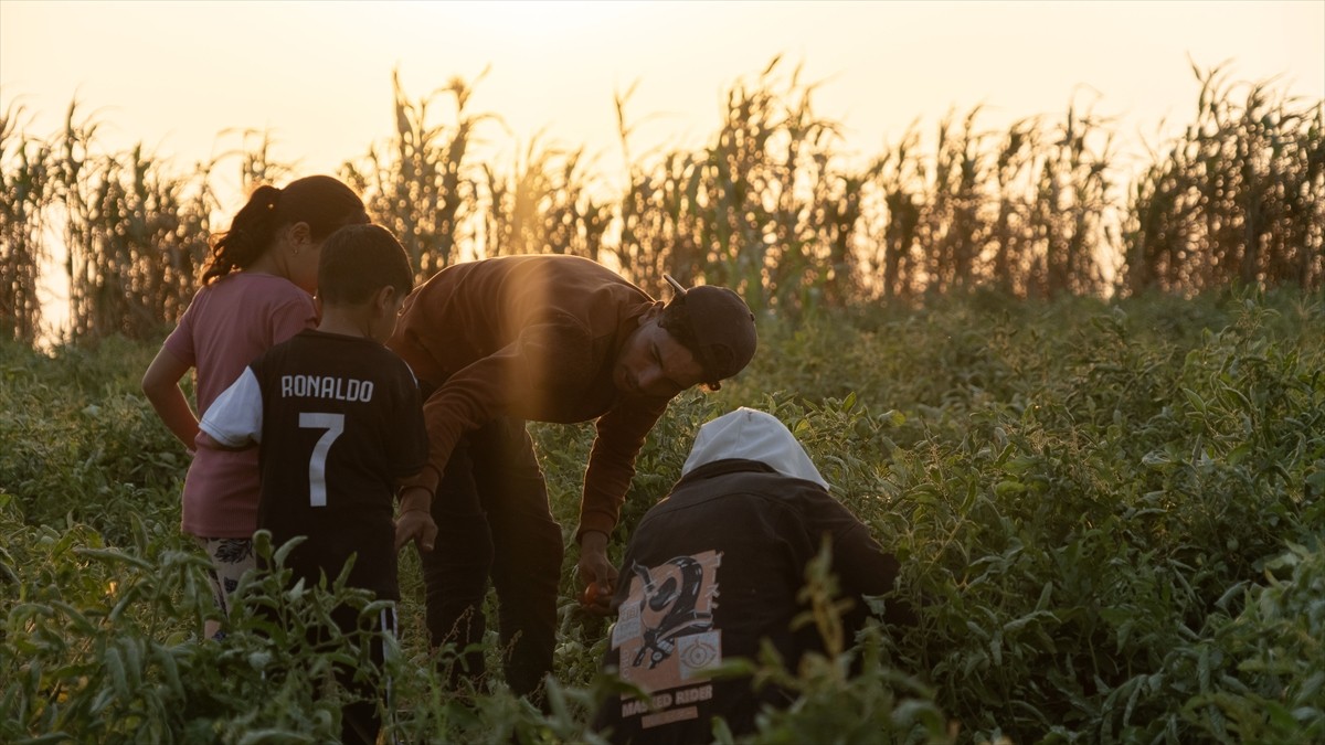 Terör örgütü DEAŞ'in işgaliyle Musul'un Sincar ilçesinden kaçmak zorunda kalan ve Duhok'taki...