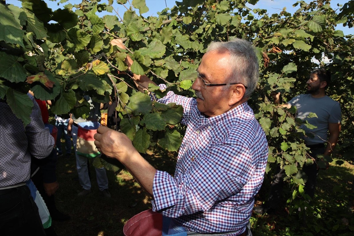 Ticaret Bakanlığı Doğu Karadeniz Bölge Müdürlüğünce oluşturulan komisyon tarafından alınan karara...
