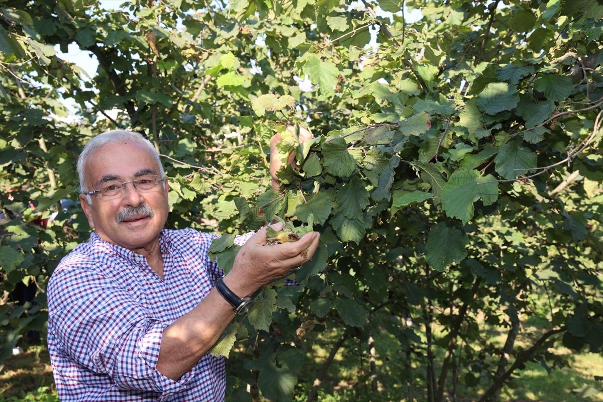 Ticaret Bakanlığı Doğu Karadeniz Bölge Müdürlüğünce oluşturulan komisyon tarafından alınan karara...