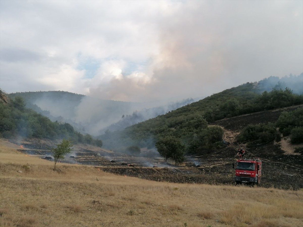 Tokat'ın Erbaa ilçesinde ormanlık alanda çıkan yangının Orman Bölge Müdürlüğü ve itfaiye...