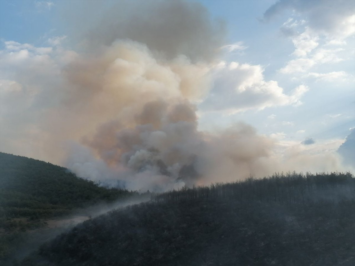 Tokat'ın Erbaa ilçesinde ormanlık alanda çıkan yangının Orman Bölge Müdürlüğü ve itfaiye...