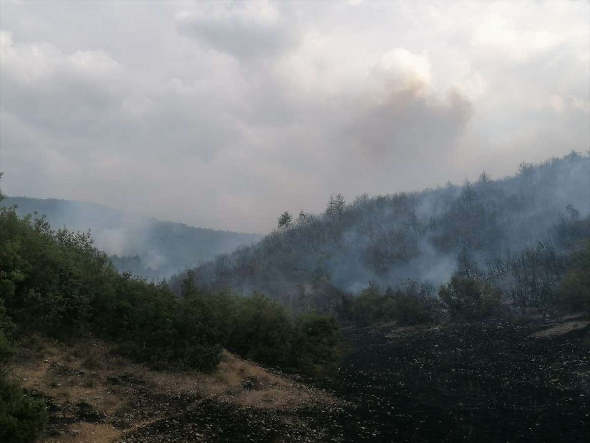 Tokat'ın Erbaa ilçesinde ormanlık alanda çıkan yangının Orman Bölge Müdürlüğü ve itfaiye...