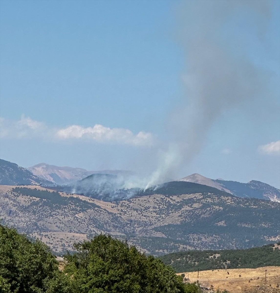 Tunceli'nin Mazgirt ilçesinde ormanlık alanda çıkan yangının söndürülmesi için ekiplerce çalışma...