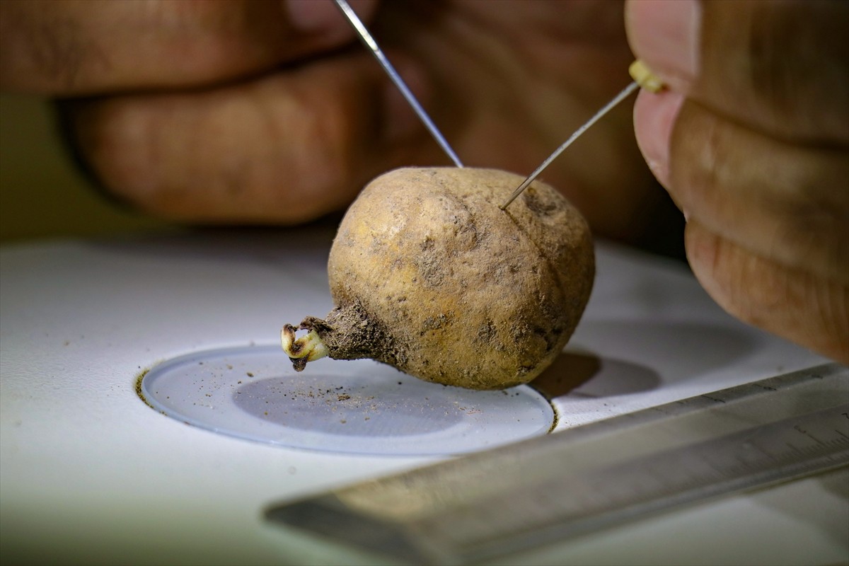 Van'ın Muradiye ilçesinde 6 şüpheli tarafından sökülerek kent dışına çıkarılmak istenirken İl...