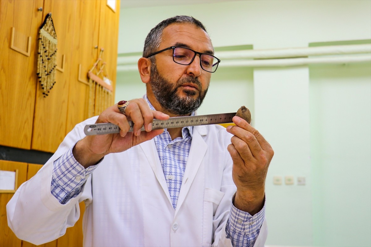 Van'ın Muradiye ilçesinde 6 şüpheli tarafından sökülerek kent dışına çıkarılmak istenirken İl...