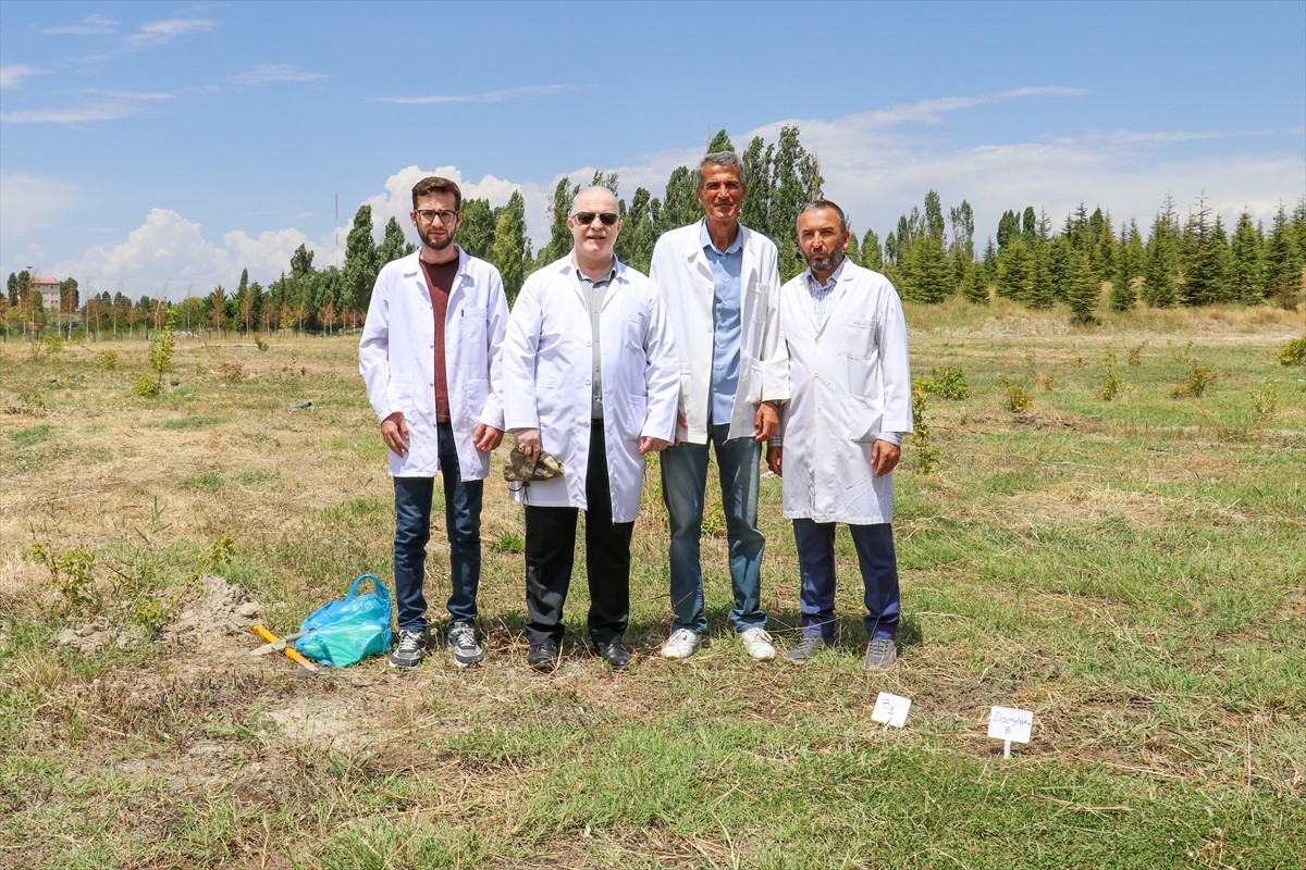 Van'ın Muradiye ilçesinde 6 şüpheli tarafından sökülerek kent dışına çıkarılmak istenirken İl...