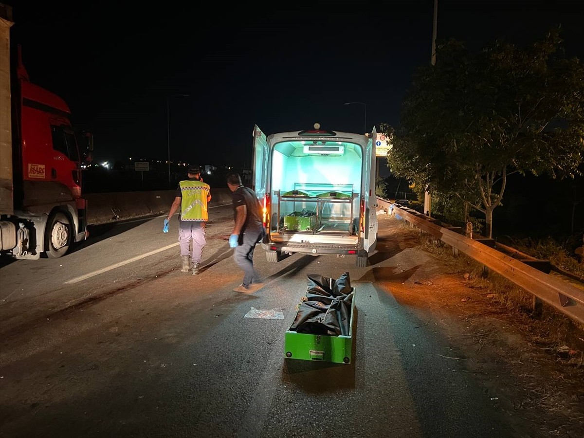 Yalova'da yolun karşısına geçmeye çalışırken, ehliyetsiz sürücünün çarptığı baba ve oğlu hayatını...