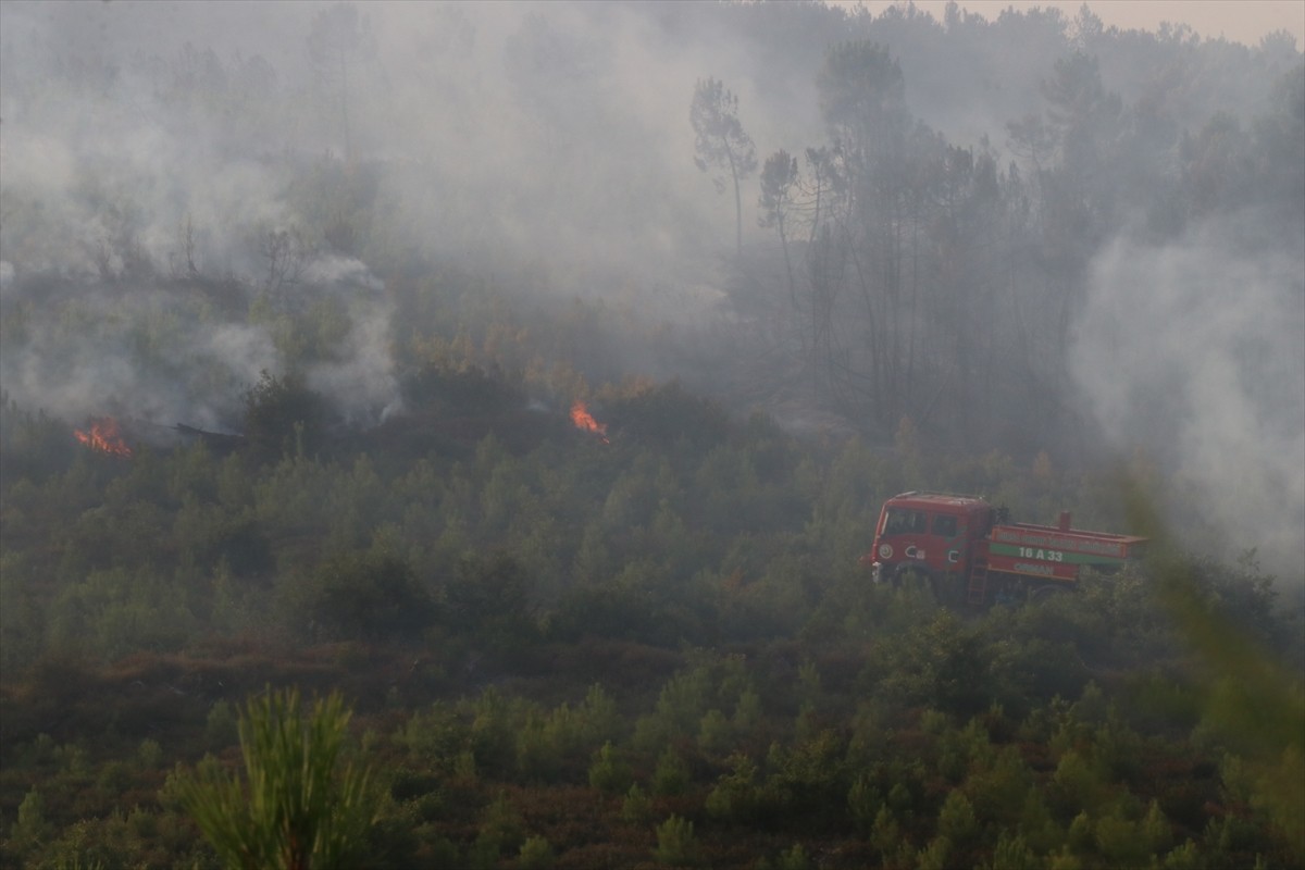 Yalova'nın Armutlu ilçesinde ormanlık alanda çıkan yangına havadan ve karadan müdahale edildi....
