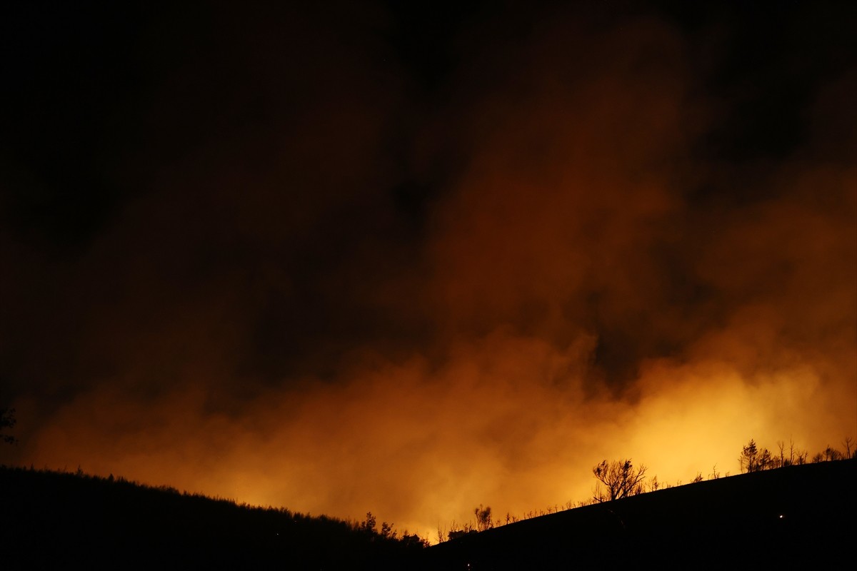 Yunanistan'ın başkenti Atina'nın doğusunda bulunan Varnava bölgesinde bugün öğleden sonra başlayan...