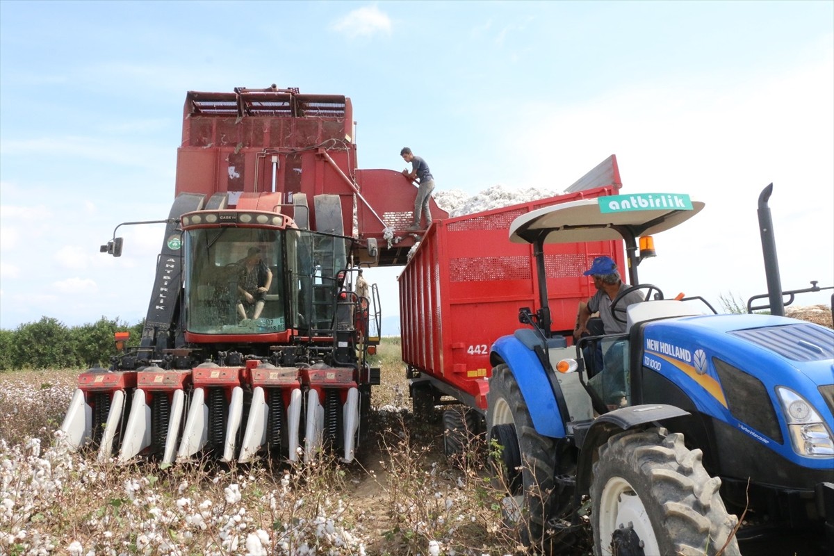 Antalya Pamuk ve Narenciye Tarım Satış Kooperatifleri Birliği (ANTBİRLİK) Yönetim Kurulu Başkanı...